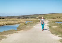 Campaign urges dog owners to protect South Downs' ponds and rivers